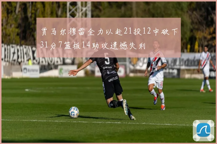 贾马尔穆雷全力以赴21投12中砍下31分7篮板14助攻遗憾失利