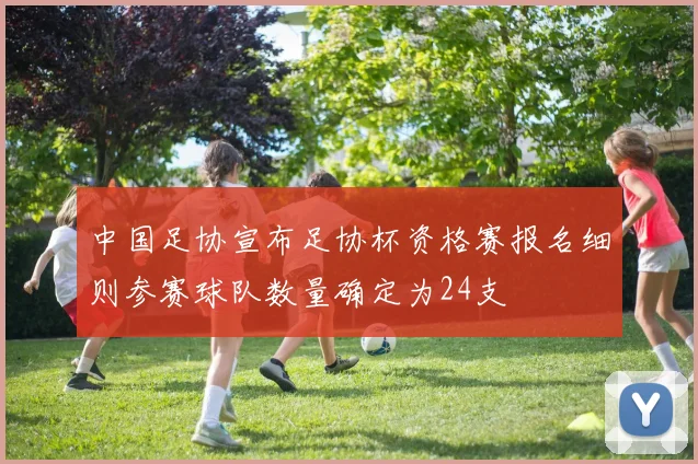 中国足协宣布足协杯资格赛报名细则参赛球队数量确定为24支