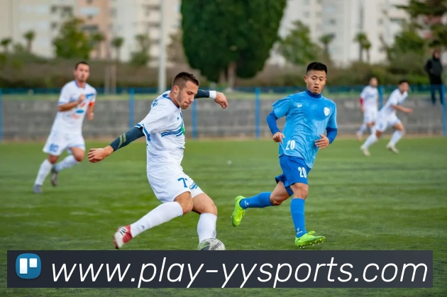 易游体育平台生态图